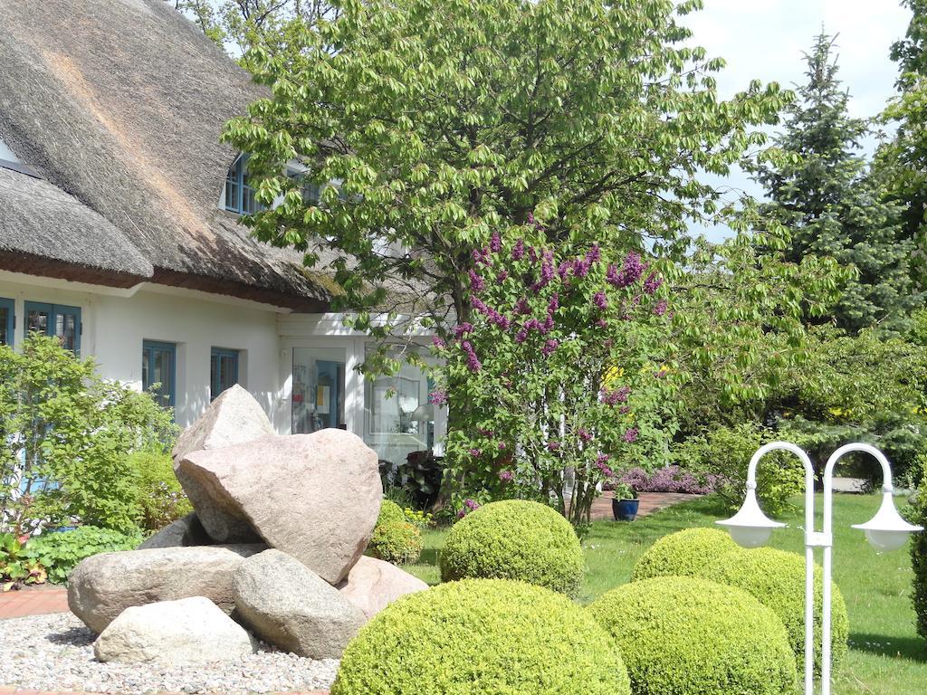 Kastanienallee Hotel Putbus