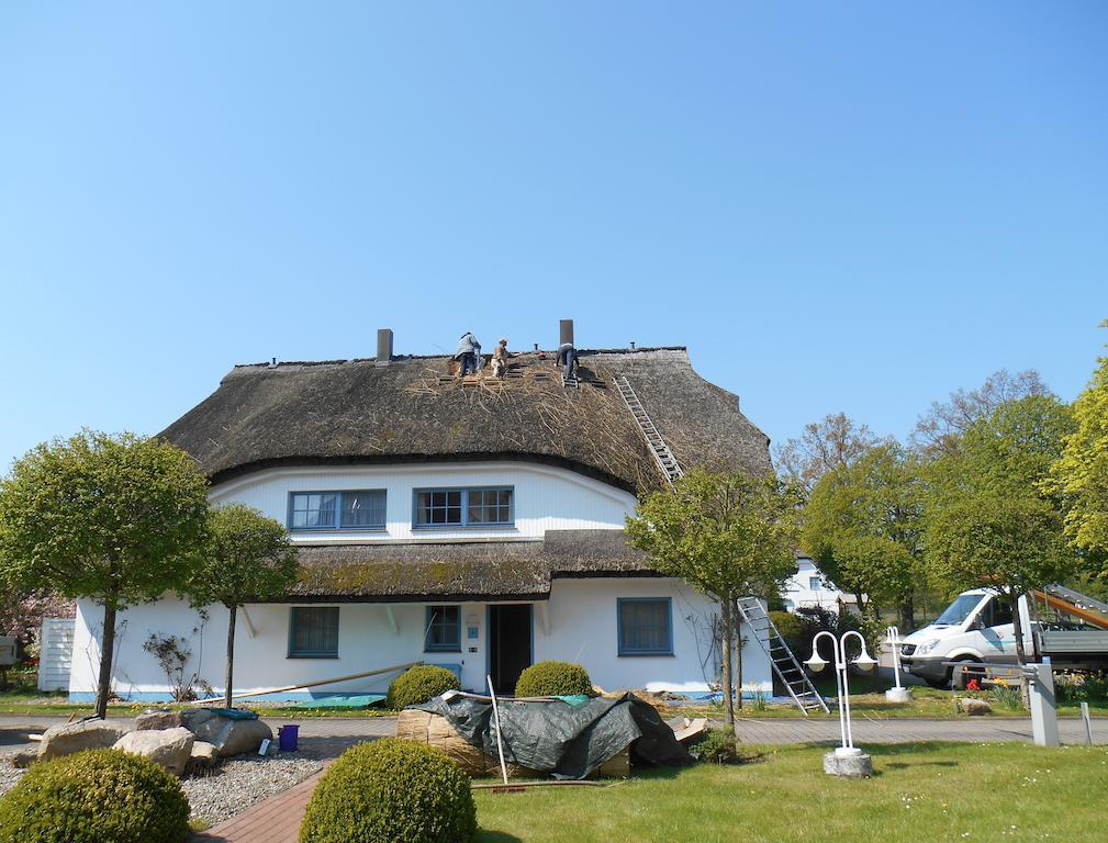 Kastanienallee Putbus